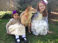 Easter. We JUST adopted this 9-year-old Korean Jindo from a rescue and named her Hope!